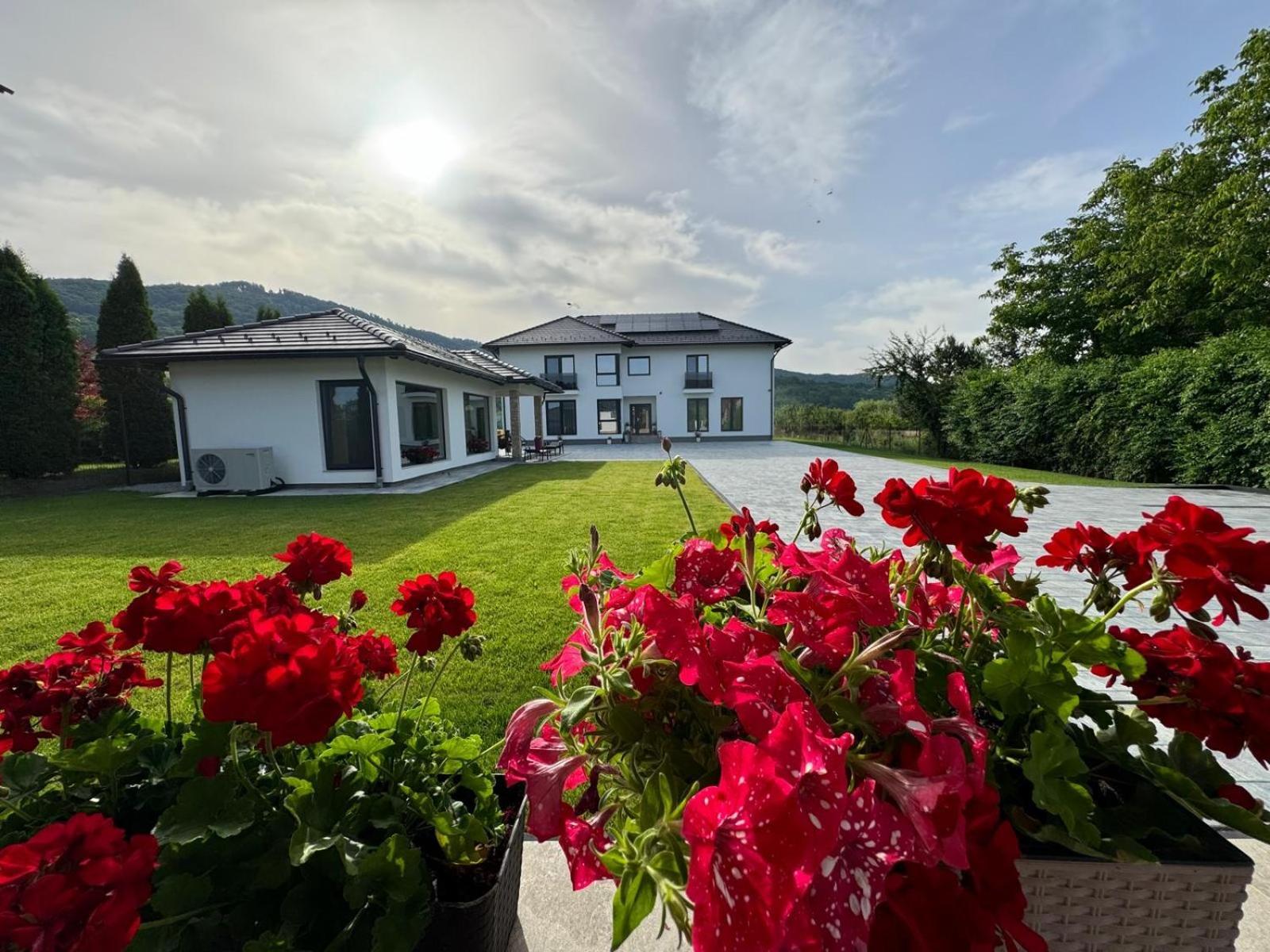 Vila Diamond Lux&Spa Szováta Kültér fotó