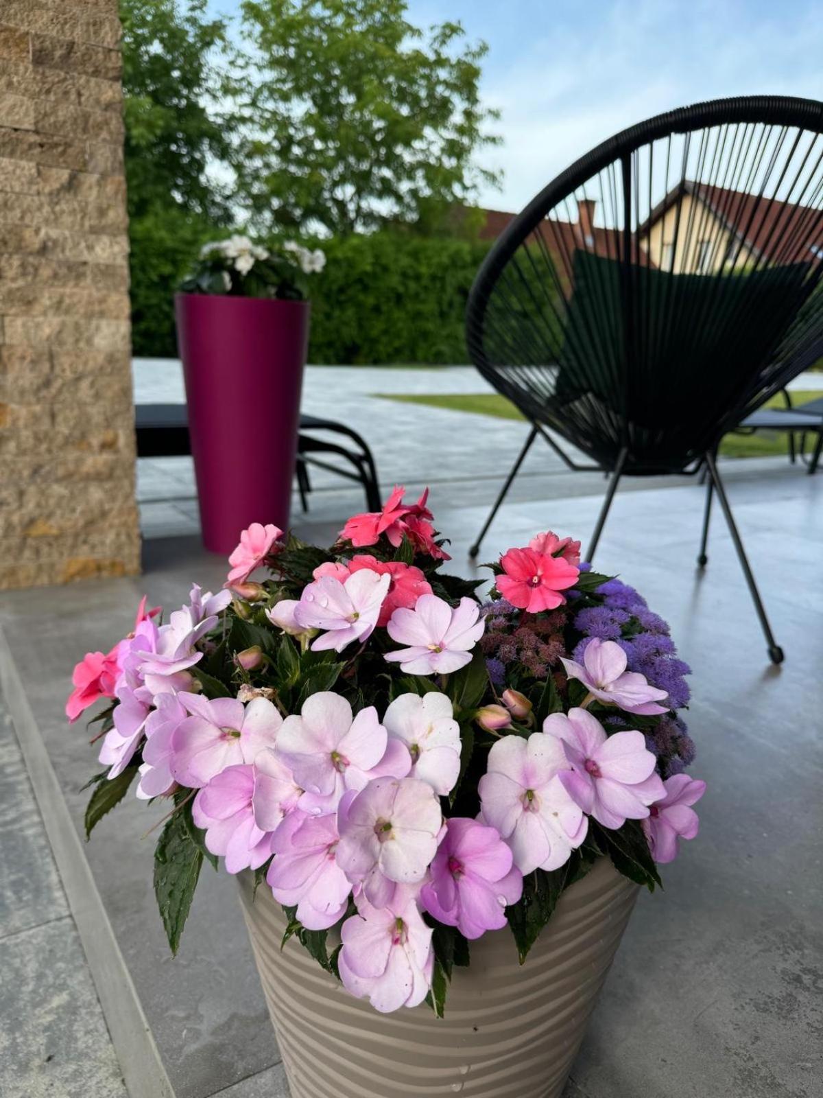 Vila Diamond Lux&Spa Szováta Kültér fotó